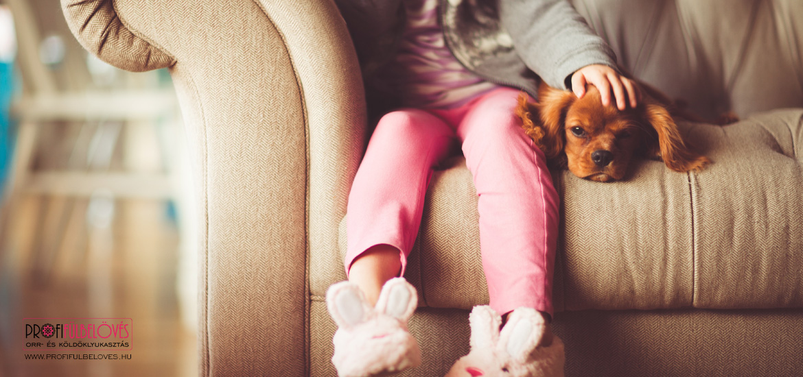 otthon01